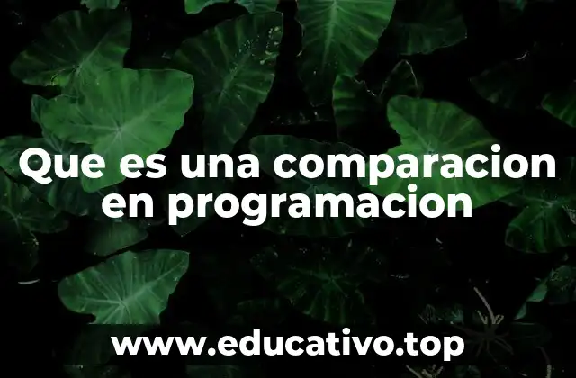 Que es una comparacion en programacion