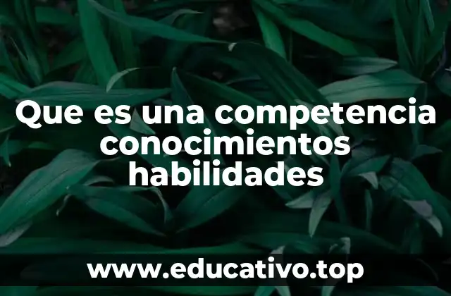 Que es una competencia conocimientos habilidades