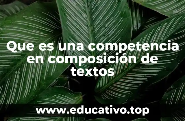 Que es una competencia en composición de textos