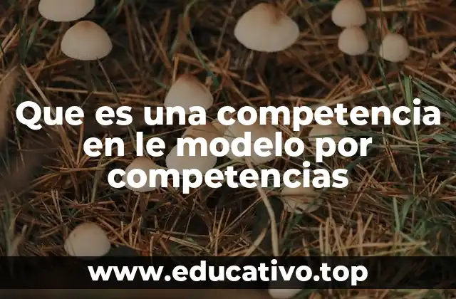 Que es una competencia en le modelo por competencias