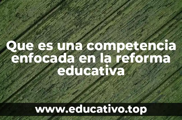 Que es una competencia enfocada en la reforma educativa