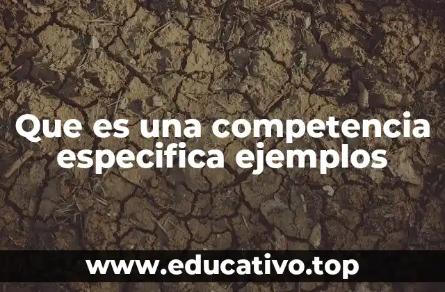 Cómo se diferencian las competencias específicas de las generales