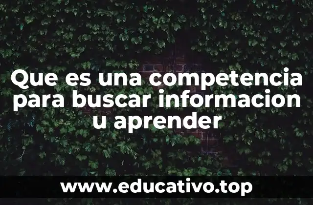 Que es una competencia para buscar informacion u aprender