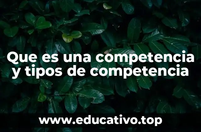 Que es una competencia y tipos de competencia