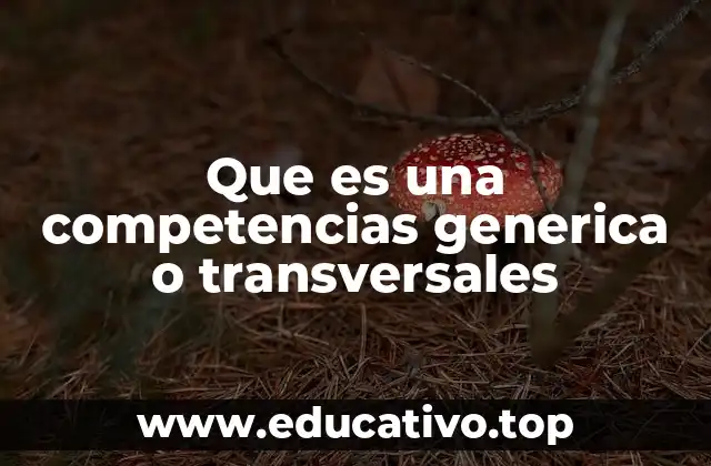 El papel de las competencias transversales en la educación