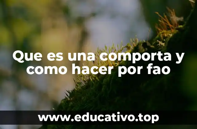 Que es una comporta y como hacer por fao