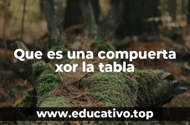 Que es una compuerta xor la tabla