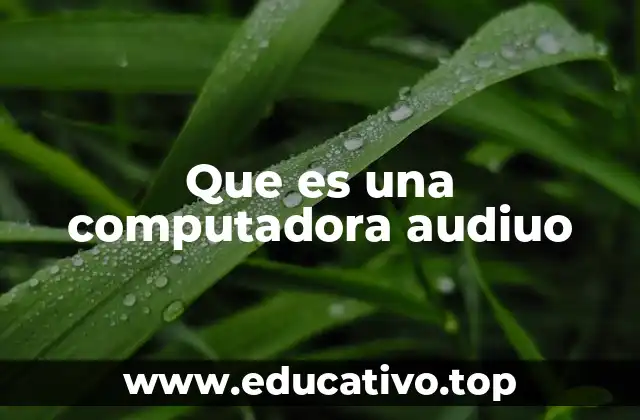 Que es una computadora audiuo
