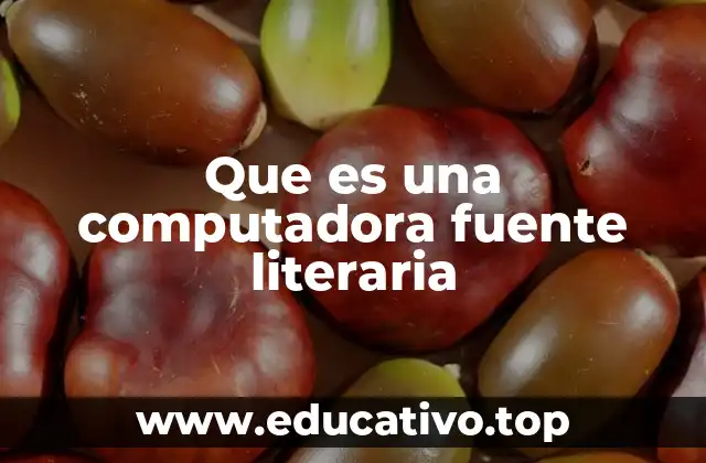 Que es una computadora fuente literaria