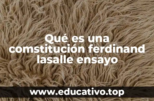 Qué es una comstitución ferdinand lasalle ensayo