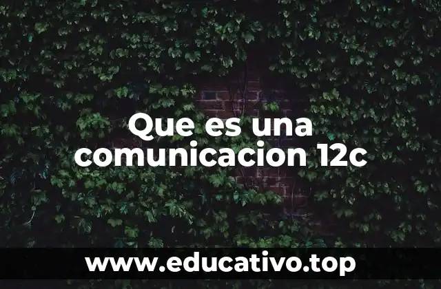 Que es una comunicacion 12c