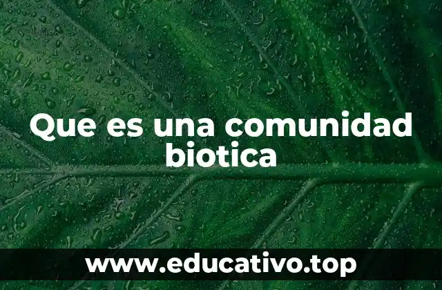 Que es una comunidad biotica