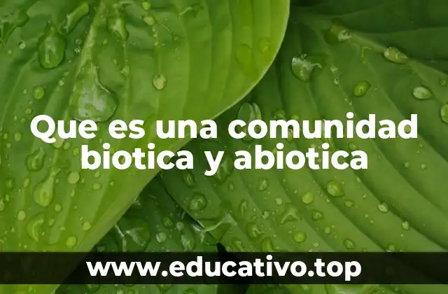 Que es una comunidad biotica y abiotica