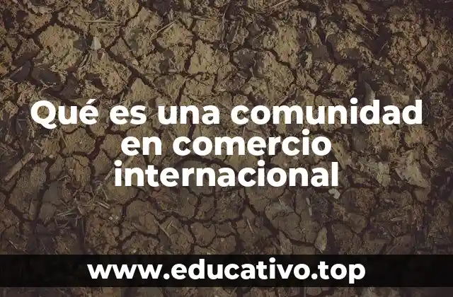 Qué es una comunidad en comercio internacional