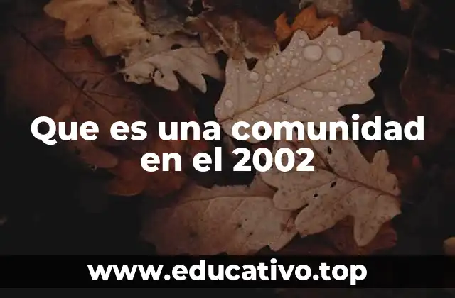 Que es una comunidad en el 2002