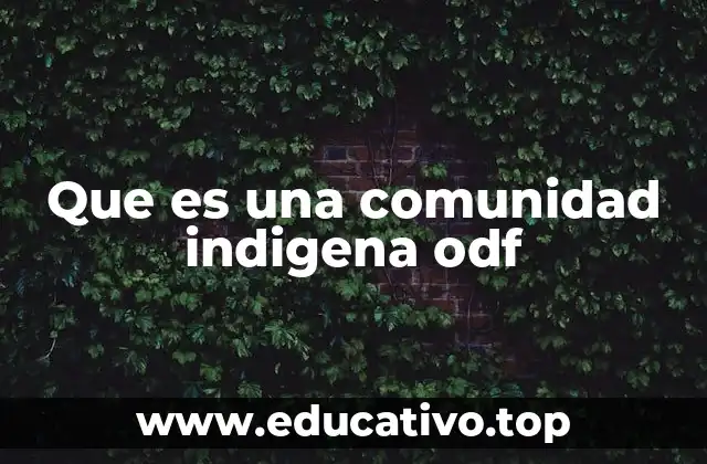 Que es una comunidad indigena odf