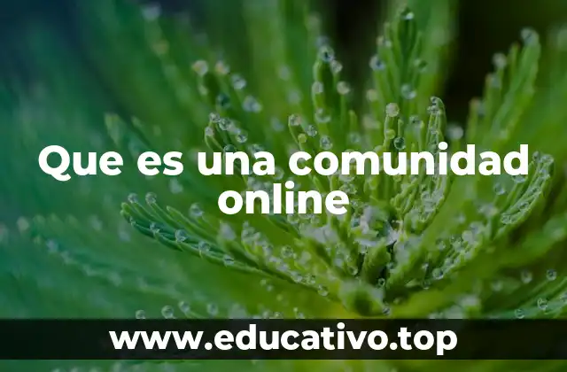 Que es una comunidad online