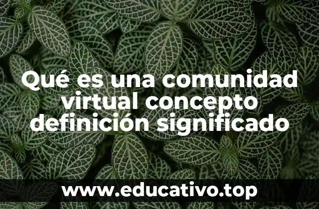 Qué es una comunidad virtual concepto definición significado