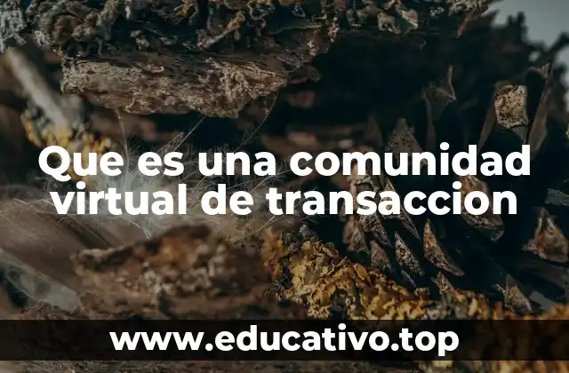 Que es una comunidad virtual de transaccion