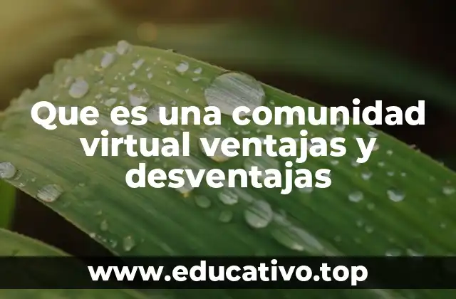Que es una comunidad virtual ventajas y desventajas