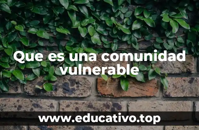 Que es una comunidad vulnerable