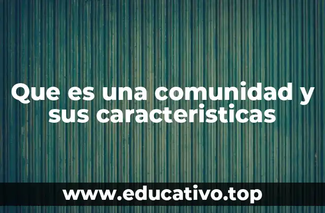 Que es una comunidad y sus caracteristicas