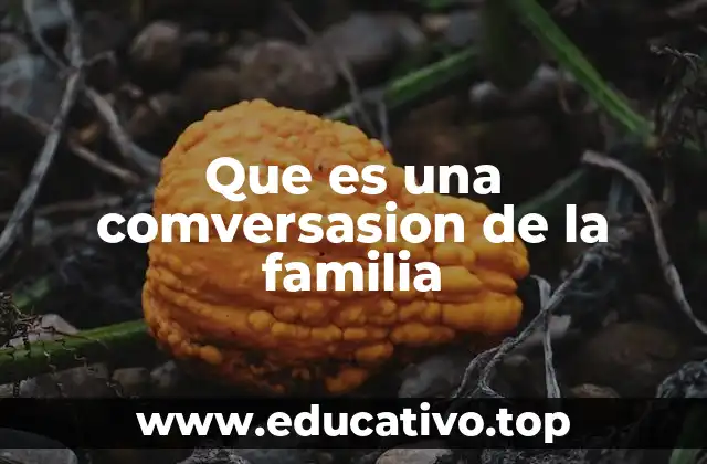 Que es una comversasion de la familia