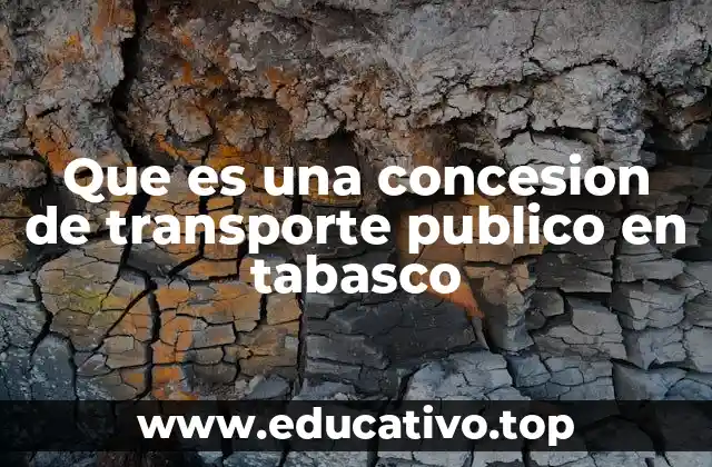 Que es una concesion de transporte publico en tabasco