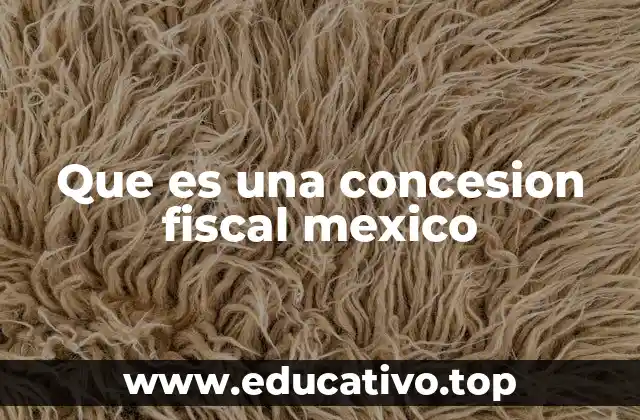 Que es una concesion fiscal mexico