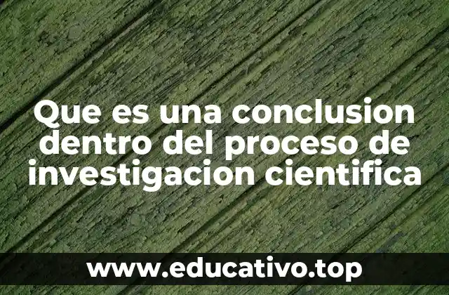Que es una conclusion dentro del proceso de investigacion cientifica