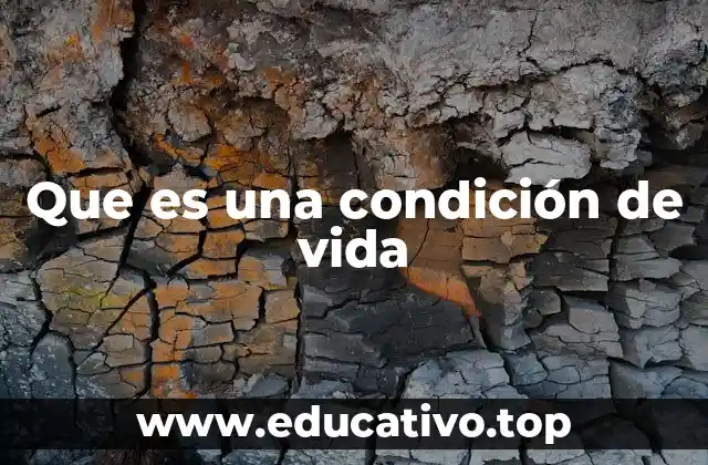 Que es una condición de vida