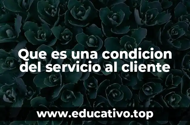 Que es una condicion del servicio al cliente