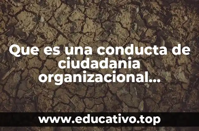 Que es una conducta de ciudadania organizacional inadecuada