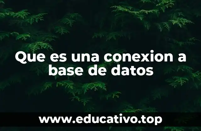 Que es una conexion a base de datos