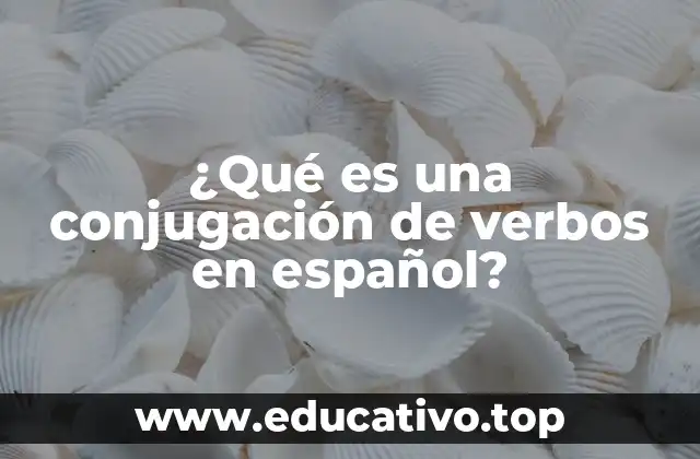 ¿Qué es una conjugación de verbos en español?