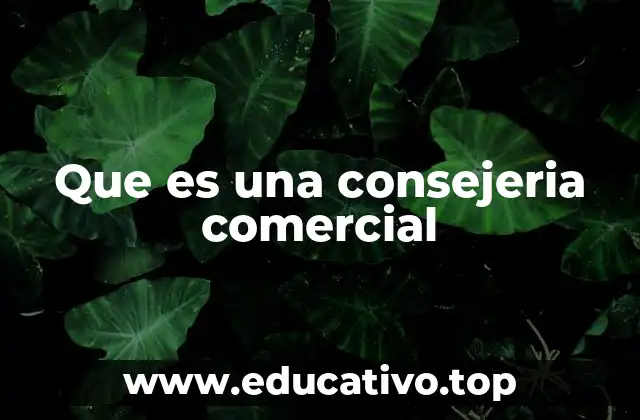Que es una consejeria comercial