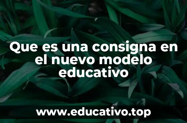 Que es una consigna en el nuevo modelo educativo