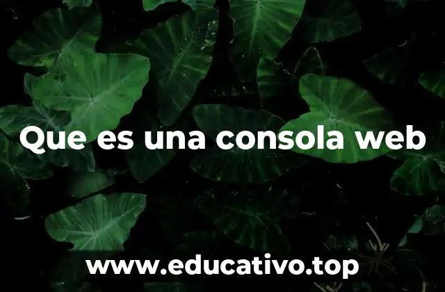 Que es una consola web