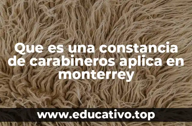 Que es una constancia de carabineros aplica en monterrey