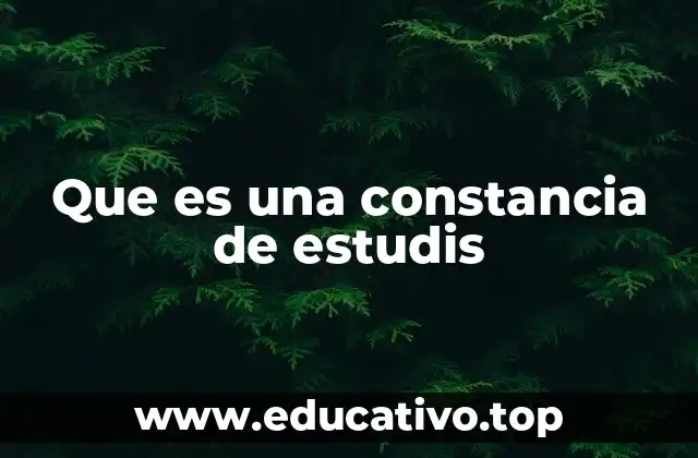 Que es una constancia de estudis