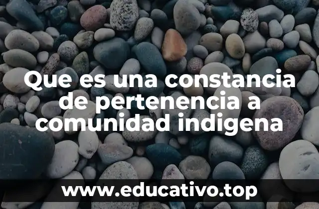 Que es una constancia de pertenencia a comunidad indigena