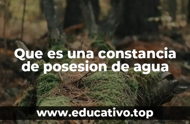 Que es una constancia de posesion de agua