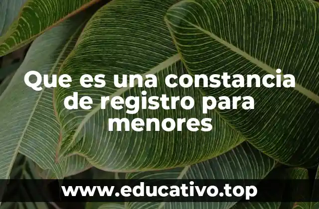 Que es una constancia de registro para menores