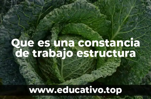 Que es una constancia de trabajo estructura