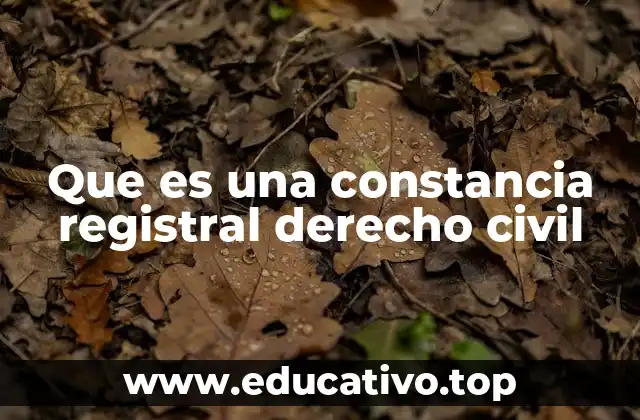 Que es una constancia registral derecho civil