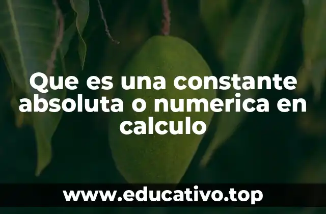 Que es una constante absoluta o numerica en calculo