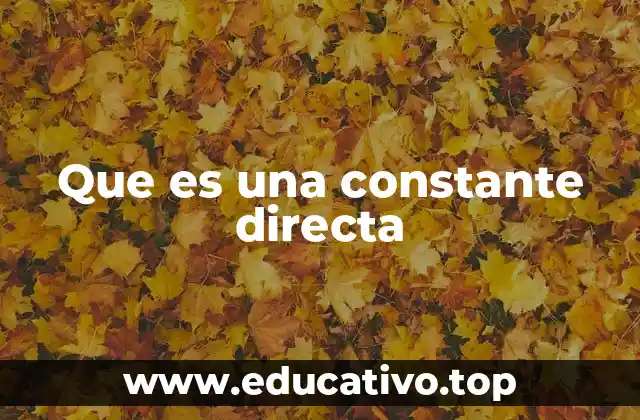 Que es una constante directa
