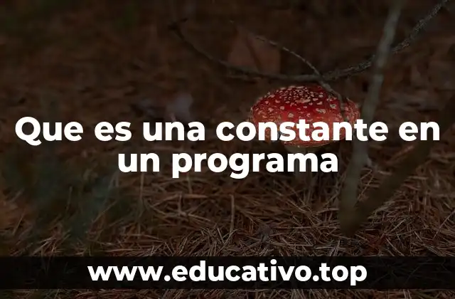 Que es una constante en un programa