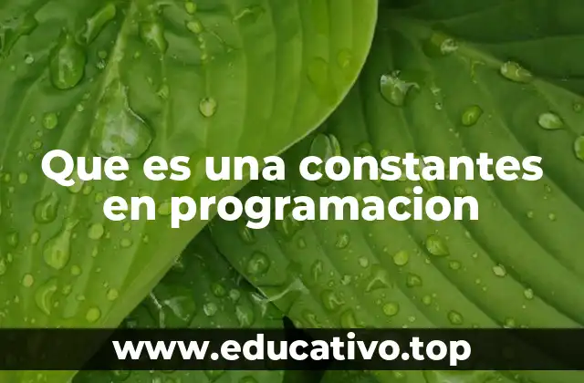 Que es una constantes en programacion
