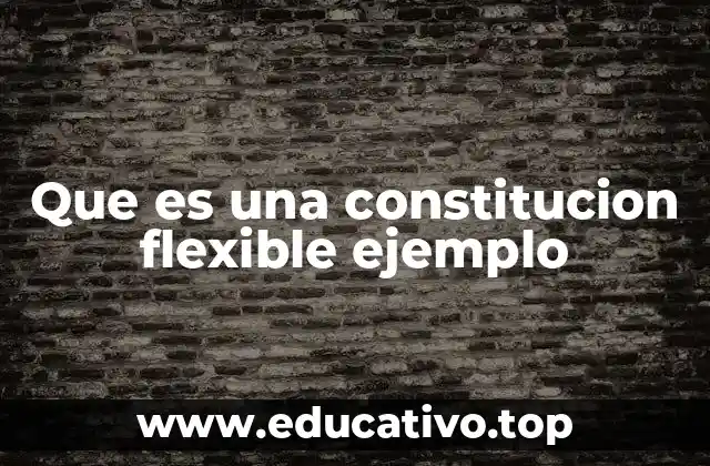 Que es una constitucion flexible ejemplo